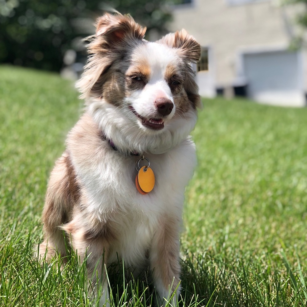 Meet your Posher, Mary kate